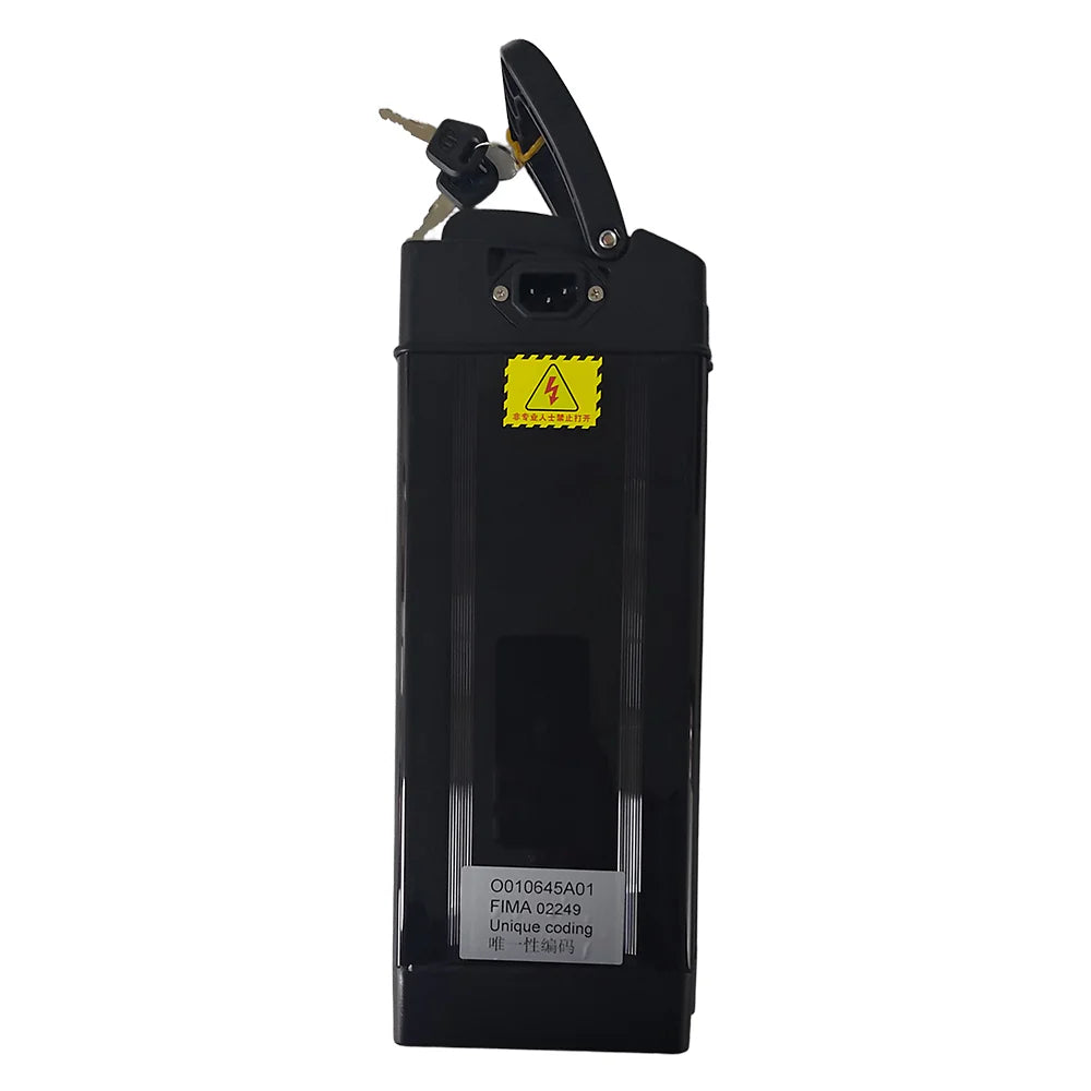 Aairsk RS5 EBIKE 48V 20AH Battery