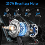 Aairsk GT900 24 inch Electric Bike, 430W(Peak) Motor, 36V 13AH Battery, Dual Suspension, Ideal for City and Trail Rides, Black